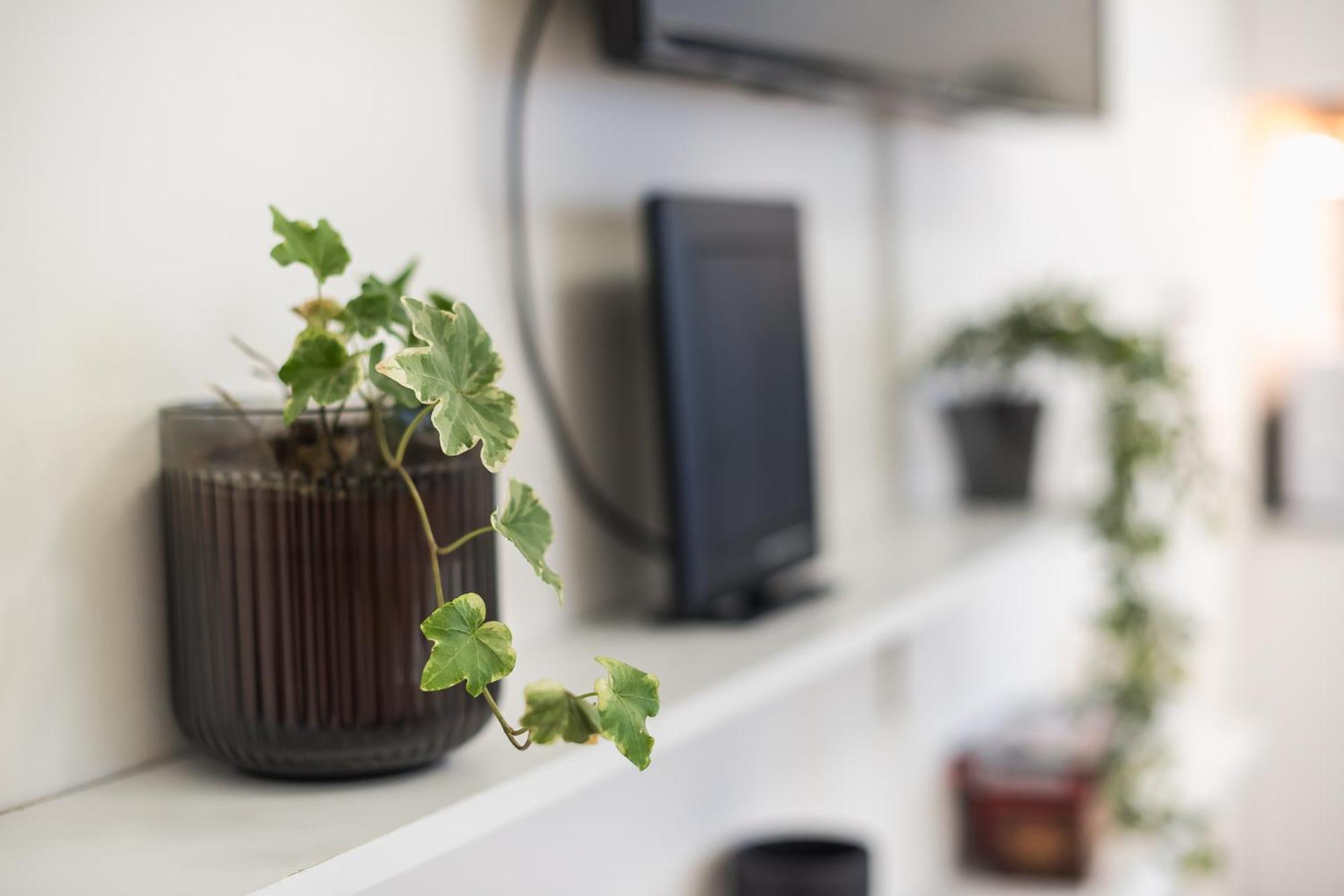 Modern Apartment 200M From Acropolis 100Mbps Netflix Athena Bagian luar foto
