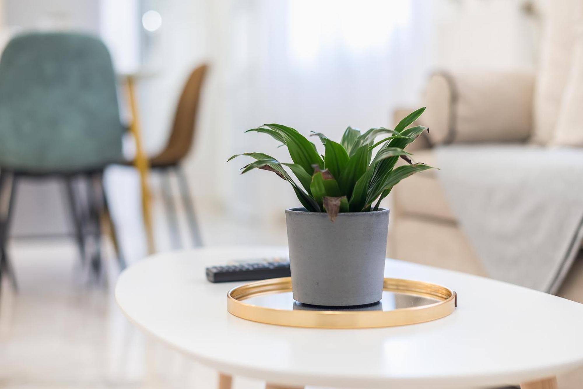 Modern Apartment 200M From Acropolis 100Mbps Netflix Athena Bagian luar foto